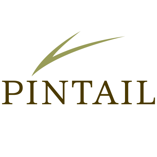 Pintail logo