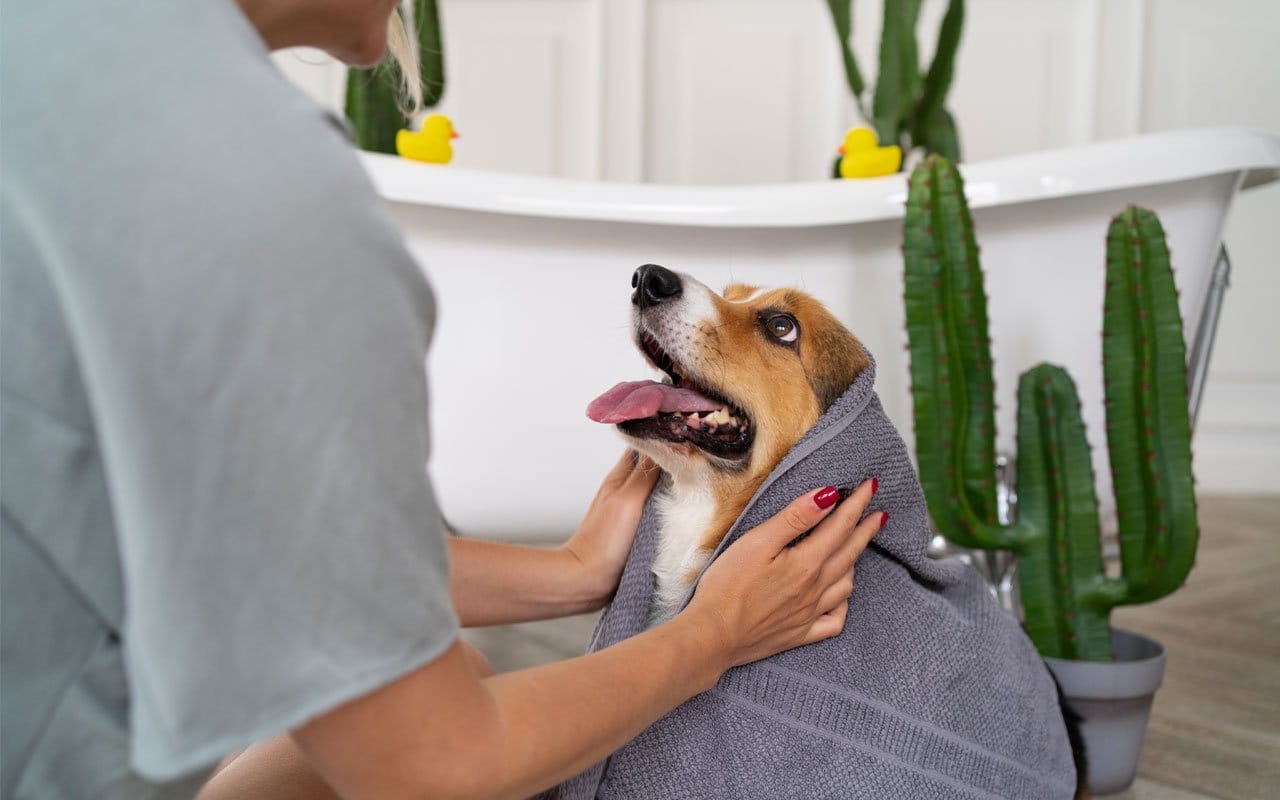 Don’t worry your pets are in good hands