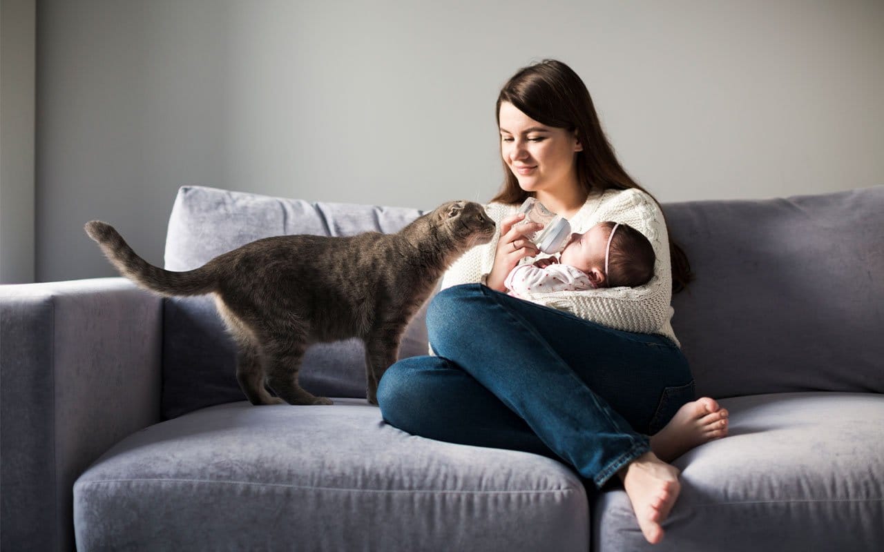 Get free pets diets and nutrition plans